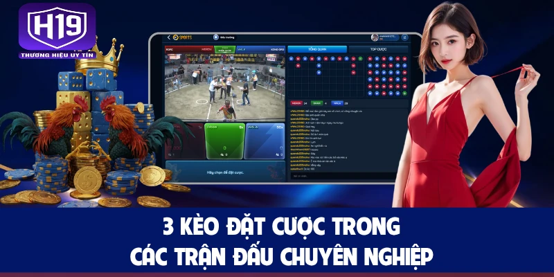 3 kèo đặt cược trong các trận đấu chuyên nghiệp