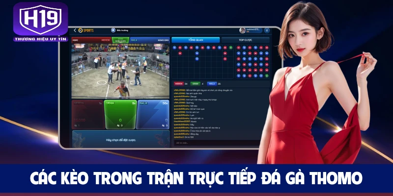 Các kèo trong trận trực tiếp đá gà Thomo