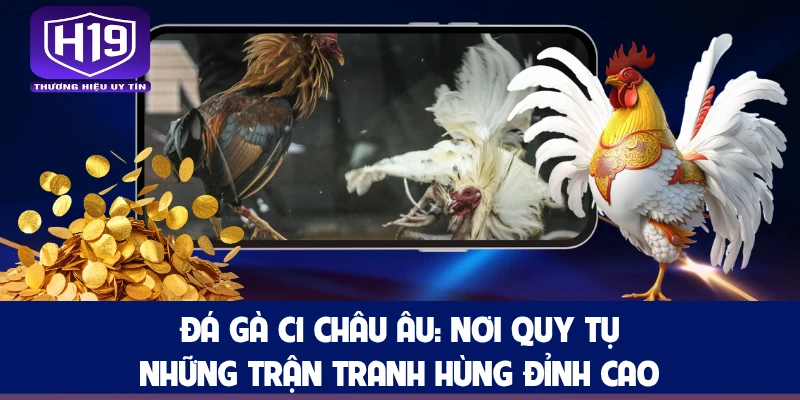 Đá Gà C1 Châu Âu: Nơi Quy Tụ Những Trận Tranh Hùng Đỉnh Cao